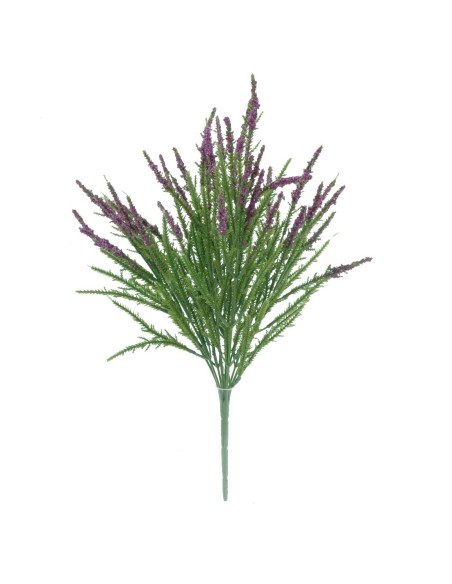 RAMO ERICA 43 CMS                                                                                    6342-16