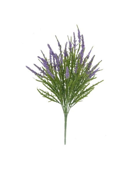 RAMO ERICA 43 CMS 6342-25