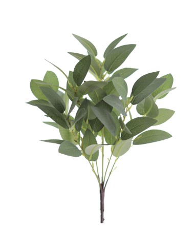 RAMO EUCALIPTUS X 7 (8569-09)