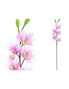 VARA CYMBIDIUM X 5 -77CM (VIOLETA)