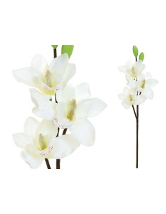 VARA CYMBIDIUM X 3 -52CM (BLANCO)