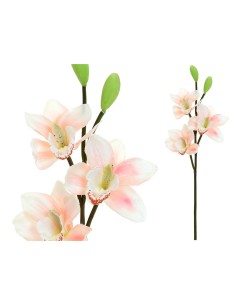 VARA CYMBIDIUM X 3 -52CM (TE)