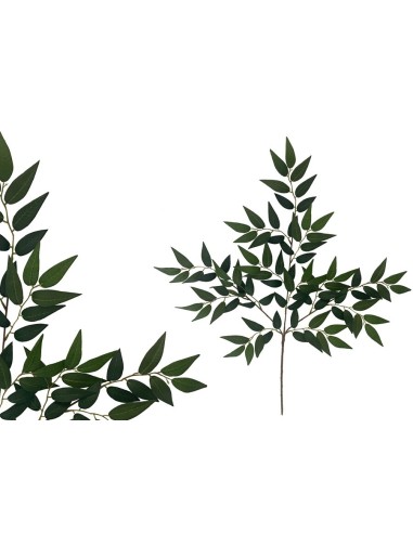 VARA HOJAS DE RUSCUS X 91 - 69 CM