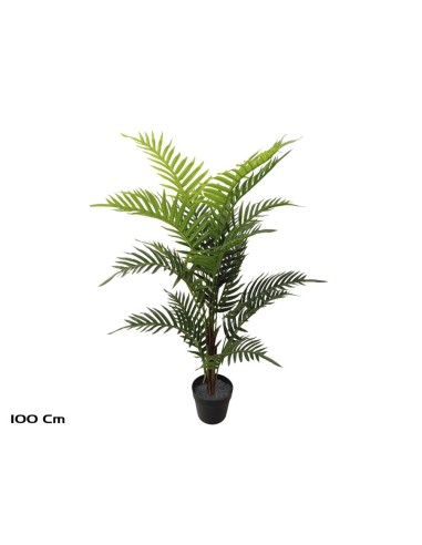 PLANTA PALMERA ARECA X 18 (F) - 100 CM