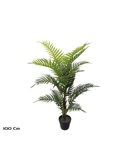 PLANTA PALMERA ARECA X 18 (F) - 100 CM