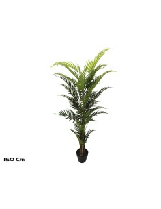 PLANTA PALMERA ARECA X 36 (F) - 150 CM