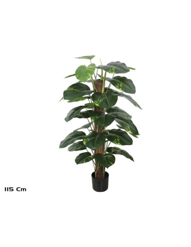 PLANTA POTUS X 33 T/ COCO (F) 115 CM