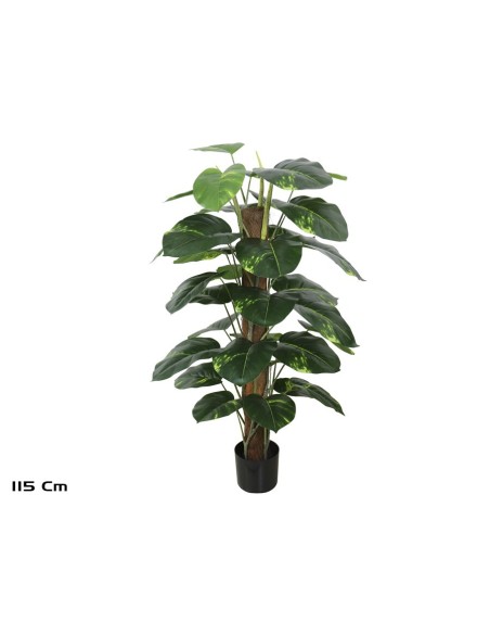 PLANTA POTUS X 33 T/ COCO (F) 115 CM