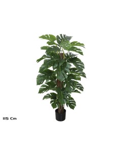 PLANTA MONSTERA X 33 T/ COCO (F) 115 CM