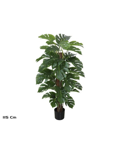 PLANTA MONSTERA X 33 T/ COCO (F) 115 CM