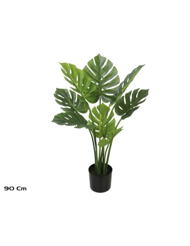 PLANTA MONSTERA X 8 (F) - 90 CM