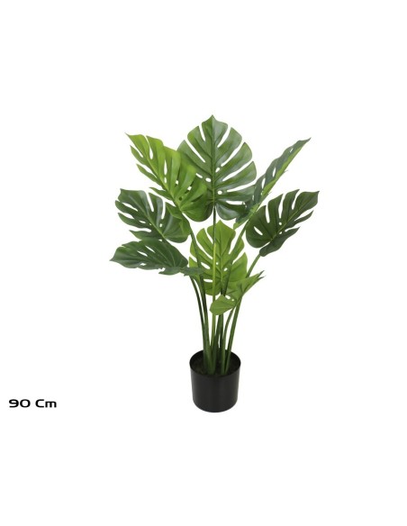 PLANTA MONSTERA X 8 (F) - 90 CM