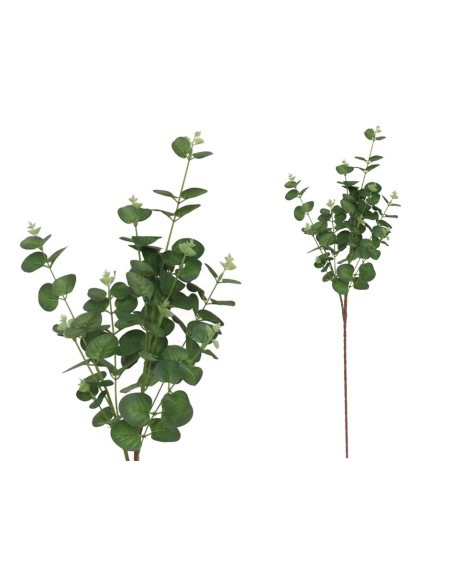 VARA EUCALIPTO X11 X90-90CM (VERDE)