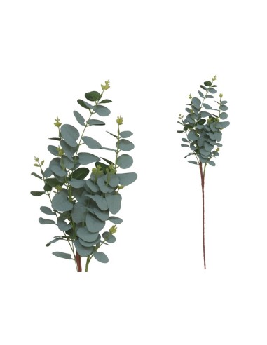 VARA EUCALIPTO X11 X90-90CM (VERDE/CL)