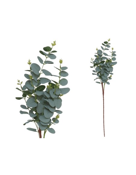 VARA EUCALIPTO X11 X90-90CM (VERDE/CL)