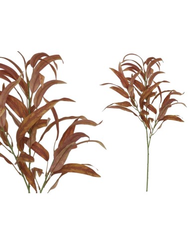 VARA EUCALIPTO -78CM (MARRON)