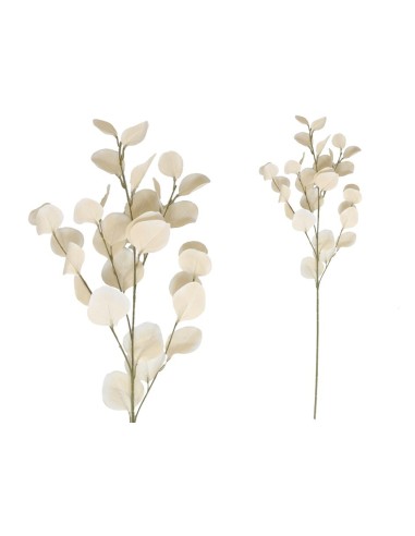 VARA EUCALIPTO X4 X30-90CM (BEIGE)