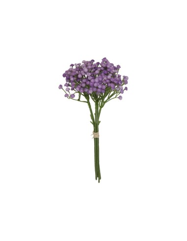 ATADO GYPSOPHILA BICOLOR X 7-33 CM (VIO)