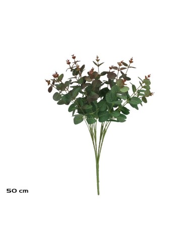 RAMO EUCALIPTO X 16 -50CM (VERDE/RJ)