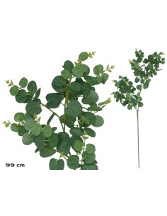 VARA EUCALIPTO X 160 - 99 CM (VERDE/CL)