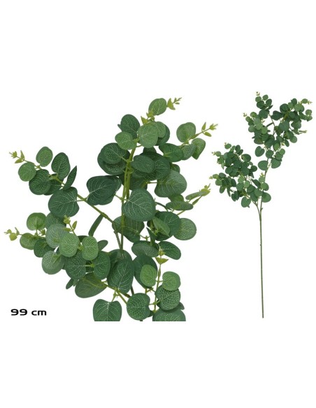 VARA EUCALIPTO X 160 - 99 CM (VERDE/CL)