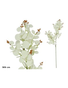 VARA EUCALIPTO X 160 - 99 CM (BLANCO)