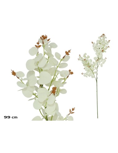 VARA EUCALIPTO X 160 - 99 CM (BLANCO)