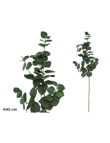 VARA EUCALIPTO X 58 - 100 CM (VERDE)