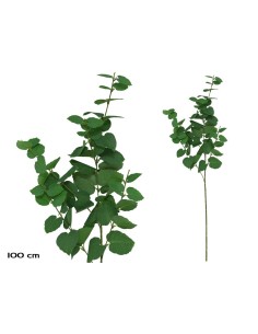 VARA EUCALIPTO X 58 - 100 CM (VERDE/CL)