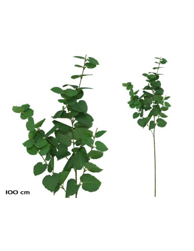 VARA EUCALIPTO X 58 - 100 CM (VERDE/CL)