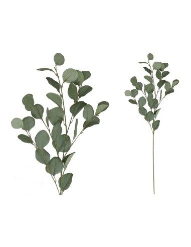 VARA EUCALIPTO X4 X30-90CM (VERDE/CL)