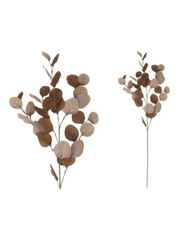 VARA EUCALIPTO X4 X30-90CM (OCRE)