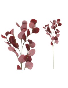 VARA EUCALIPTO X4 X30-90CM (ROJO)