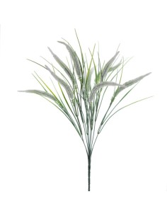 RAMO SETARIA 5396-11