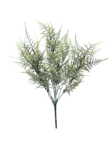 RAMO ESPARRAGUERA  6360-09