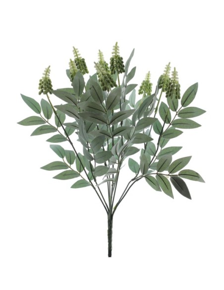 RAMO DRIMIOPSIS 7427-01