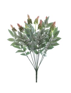 RAMO DRIMIOPSIS 7427-12