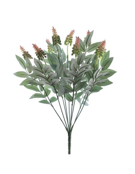 RAMO DRIMIOPSIS 7427-12