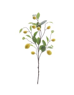 RAMA LIMONES 6008-02