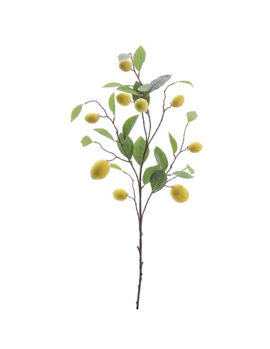 RAMA LIMONES 6008-02