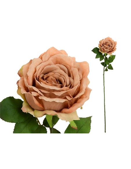 VARA ROSA CAROLINA (A) -67 CM (CORAL)