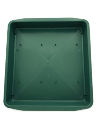 BANDEJA 2 PASTILLAS CUADRADA