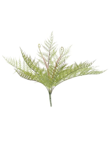 HELECHO X10 (6374-09)