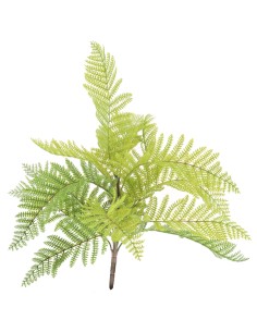 HELECHO SILVESTRE (9766-09)