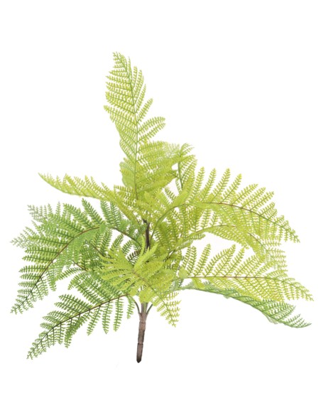 HELECHO SILVESTRE (9766-09)