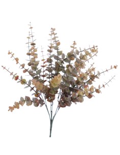 RAMO EUCALYPTUS (9309-55)