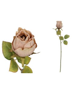 VARA CAPULLO DRIED - 50 CM (CAFE)