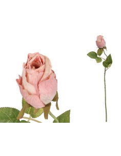 VARA CAPULLO DRIED - 50 CM (ROSA)