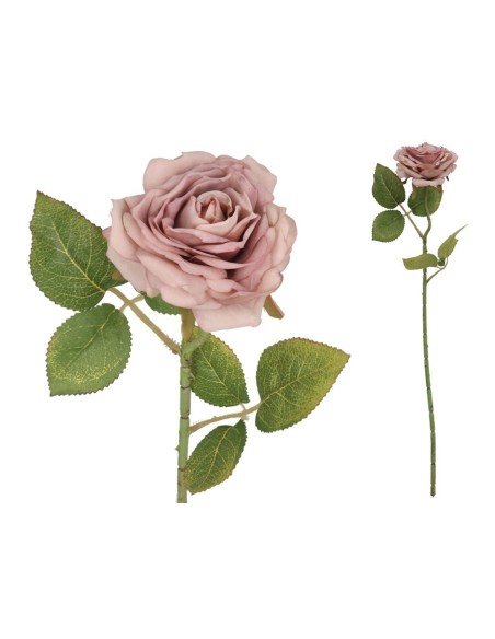 VARA ROSA DRIED - 50 CM (VIOLETA)