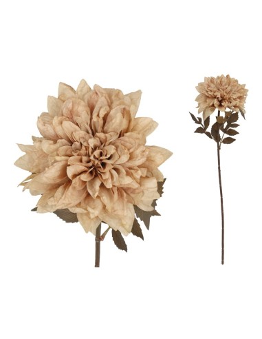VARA DALIA DRIED - 54 CM (CAFE)